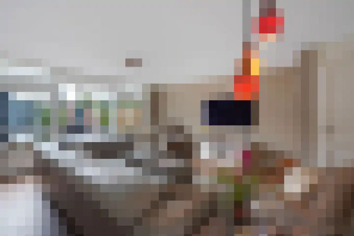 Schoolstraat 12 Zoetermeer thumbnail 23