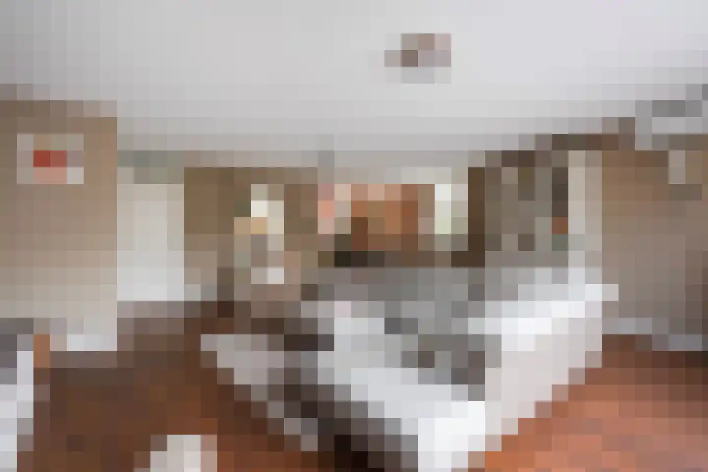 Schoolstraat 12 Zoetermeer thumbnail 25
