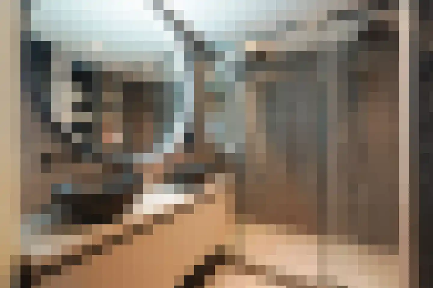 Schoolstraat 12 Zoetermeer thumbnail 5
