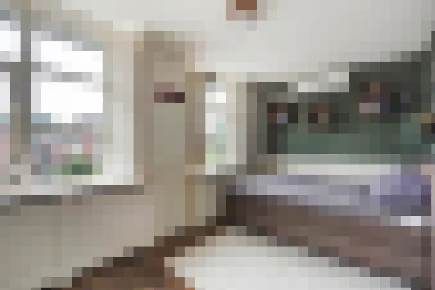 Schoolstraat 12 Zoetermeer thumbnail 52