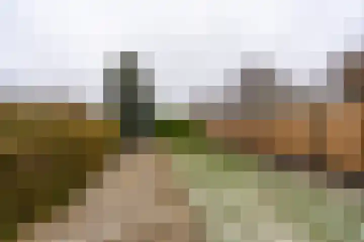 Schoolstraat 127 A Musselkanaal thumbnail 30