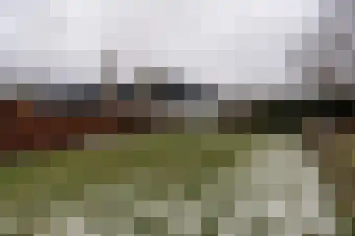 Schoolstraat 127 A Musselkanaal thumbnail 32