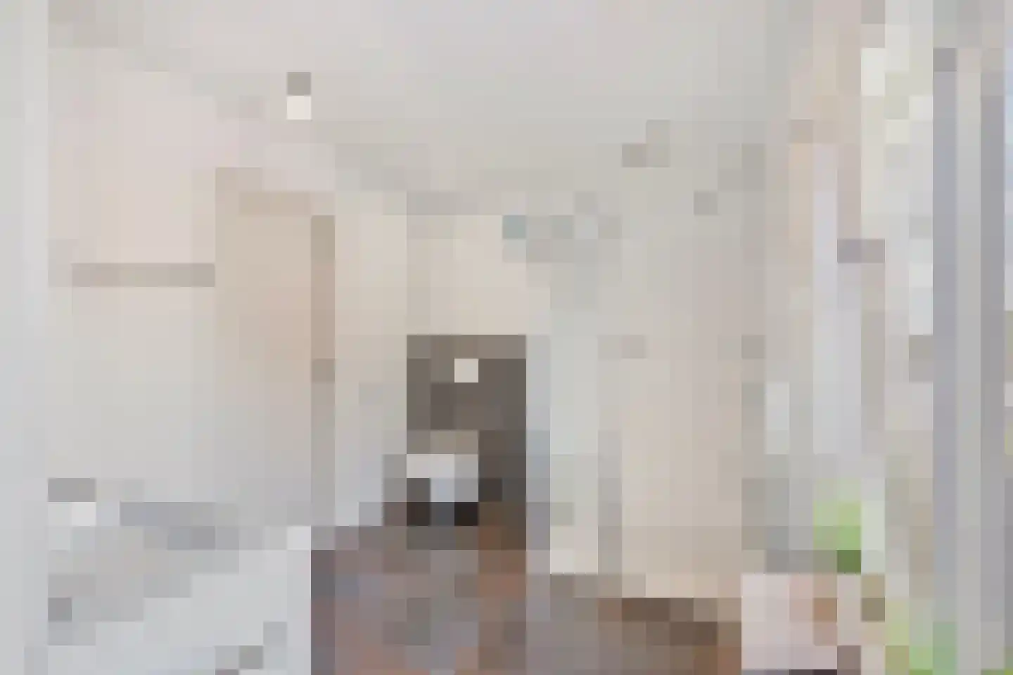 Schoolstraat 13 Belfeld thumbnail 17