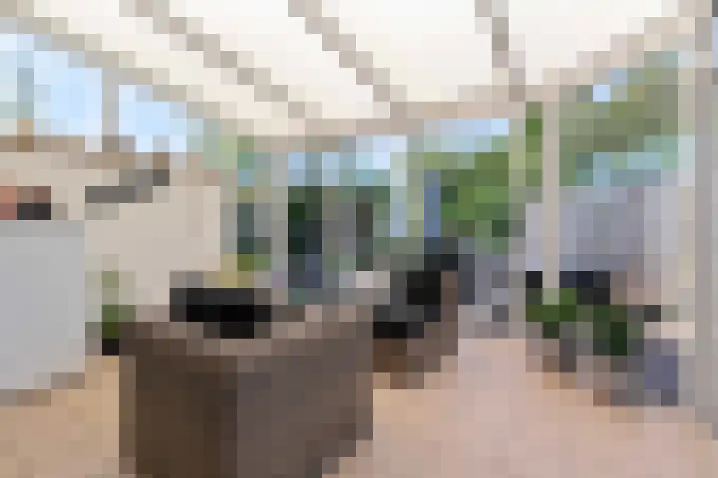 Schoolstraat 13 Belfeld thumbnail 9