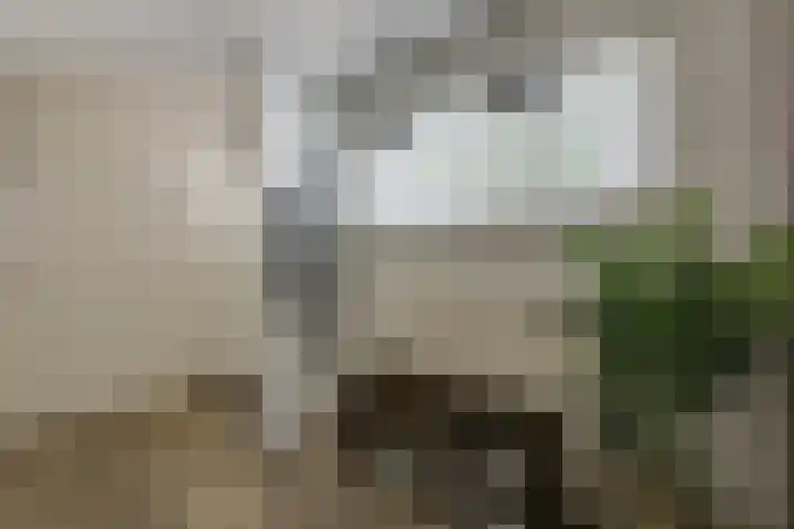 Schoolstraat 13 Didam thumbnail 15