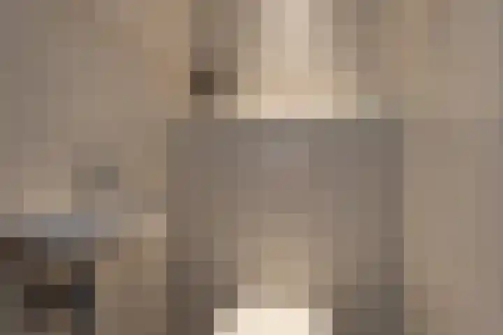 Schoolstraat 13 Didam thumbnail 19