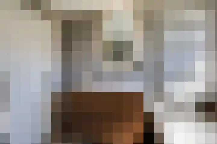 Schoolstraat 13 Didam thumbnail 21