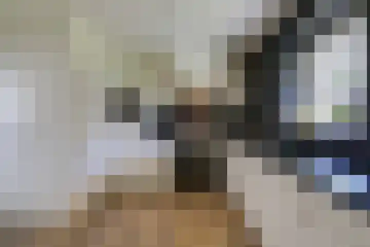 Schoolstraat 13 Didam thumbnail 26