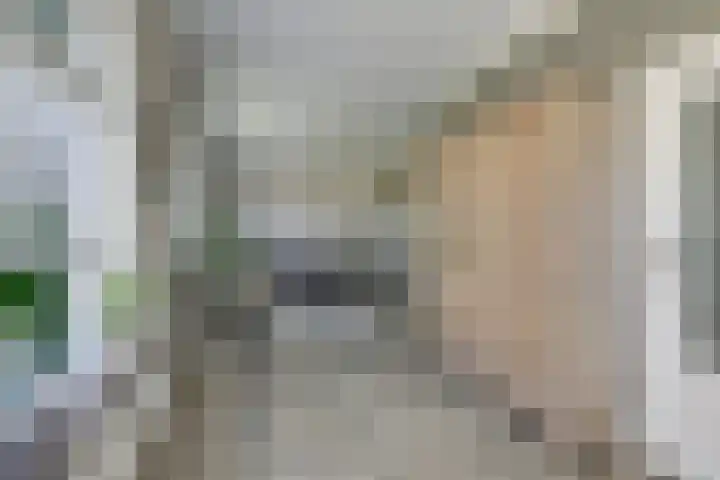 Schoolstraat 13 Didam thumbnail 28