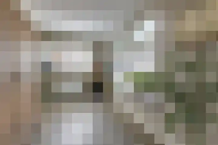 Schoolstraat 13 Didam thumbnail 29