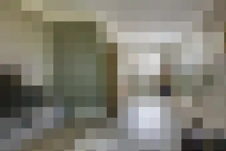 Schoolstraat 13 Didam thumbnail 30
