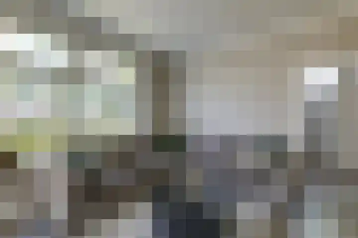 Schoolstraat 13 Didam thumbnail 33