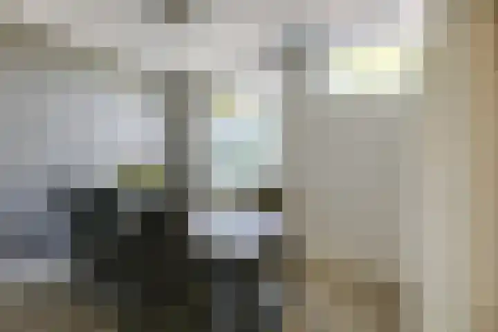 Schoolstraat 13 Didam thumbnail 34