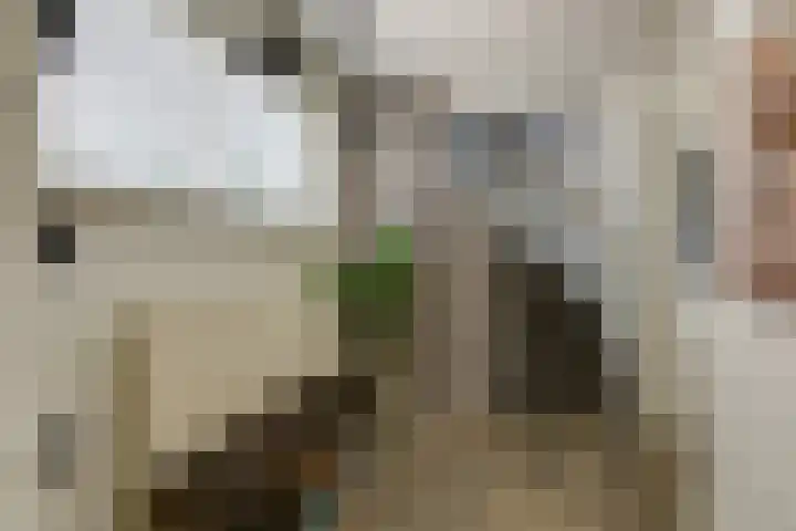 Schoolstraat 13 Didam thumbnail 36