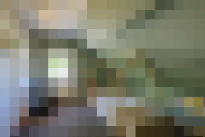 Schoolstraat 13 Didam thumbnail 43