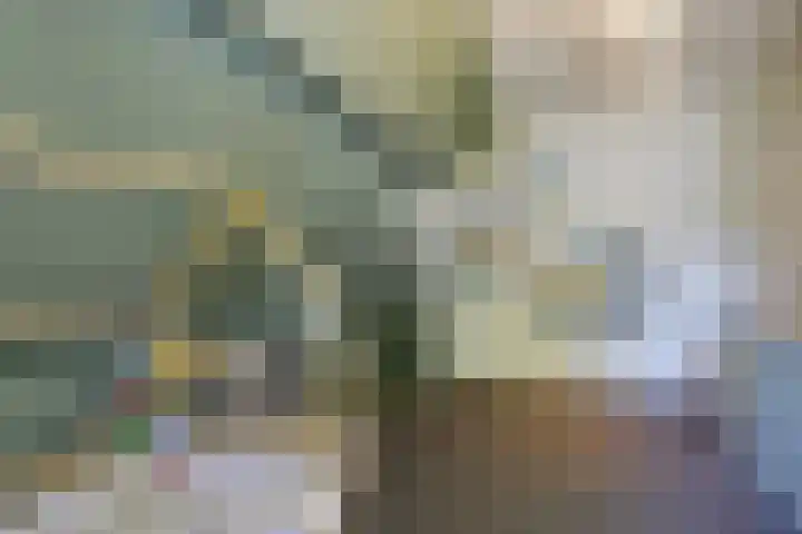 Schoolstraat 13 Didam thumbnail 45