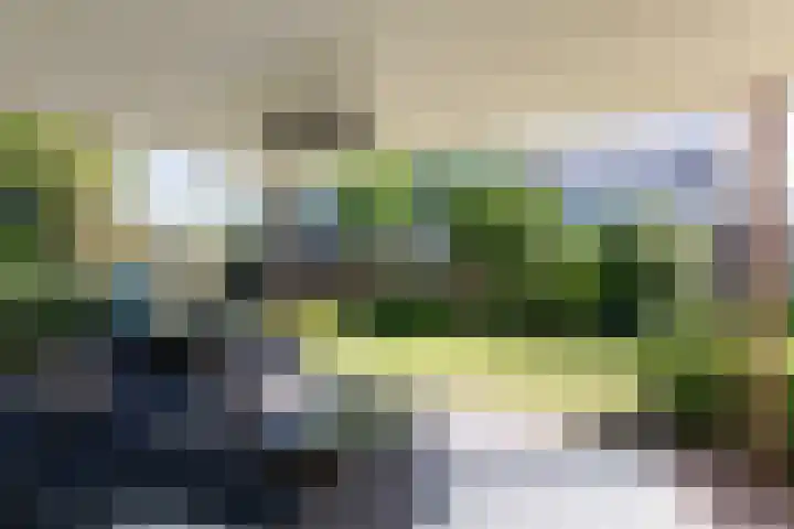 Schoolstraat 13 Didam thumbnail 48
