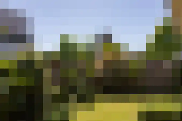 Schoolstraat 13 Didam thumbnail 50