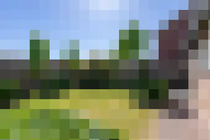 Schoolstraat 13 Didam thumbnail 51