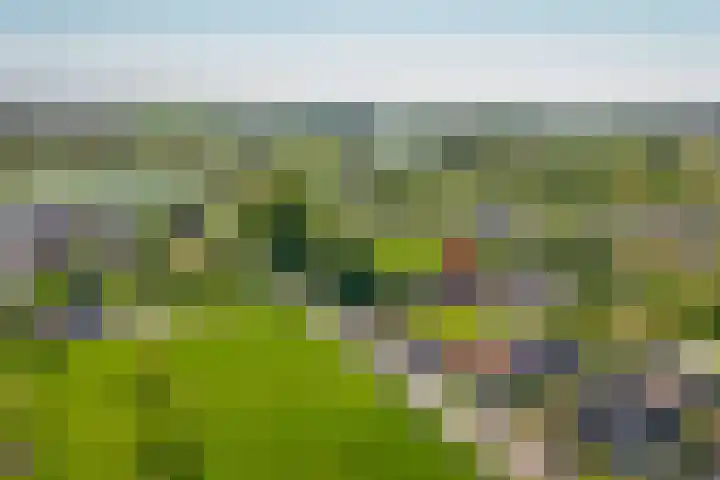 Schoolstraat 13 Didam thumbnail 53
