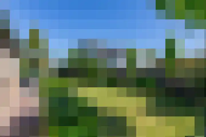 Schoolstraat 13 Didam thumbnail 53