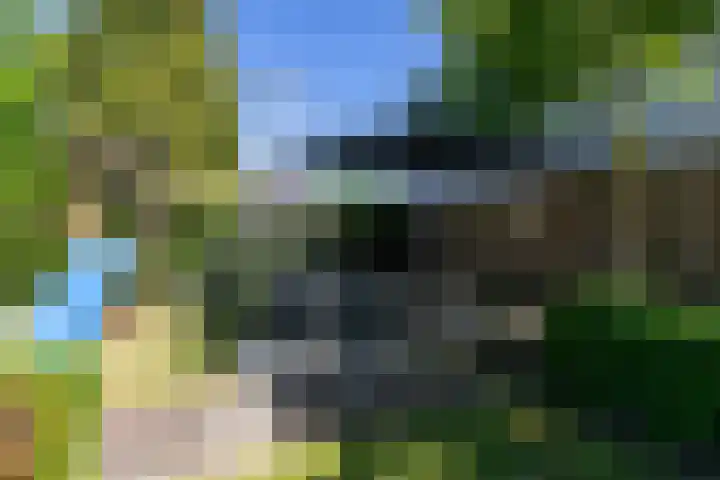 Schoolstraat 13 Didam thumbnail 55
