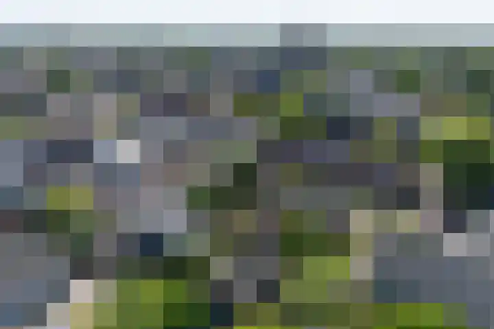Schoolstraat 13 Didam thumbnail 59