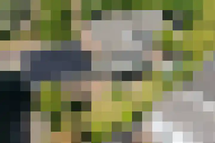Schoolstraat 13 Didam thumbnail 6