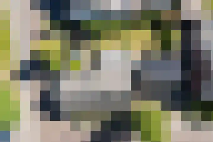 Schoolstraat 13 Didam thumbnail 8