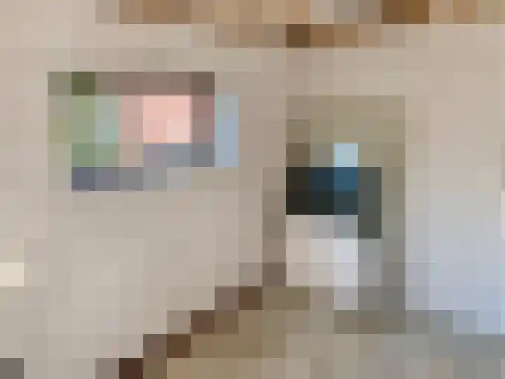 Schoolstraat 13 Gendt thumbnail 16