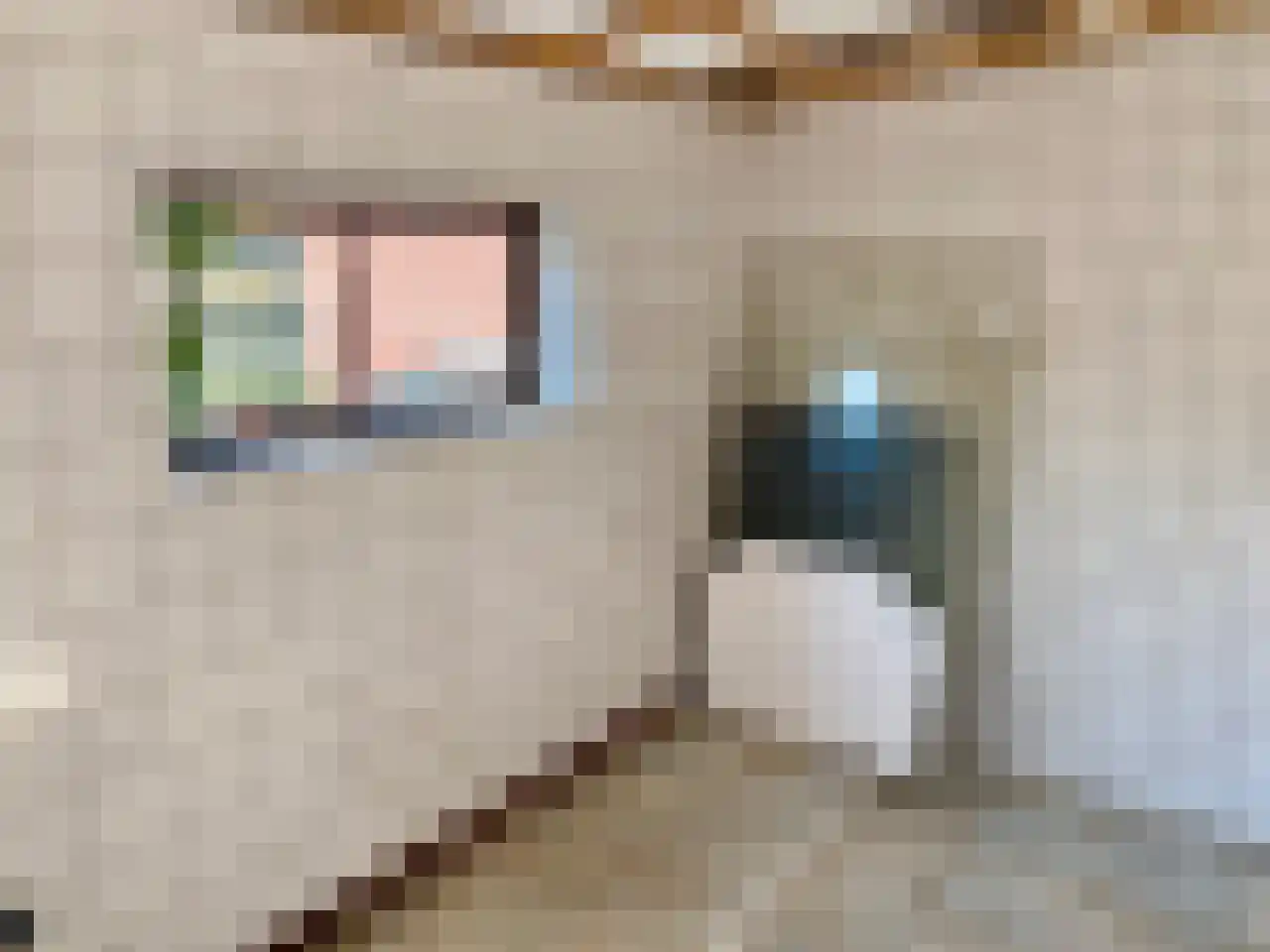Schoolstraat 13 Gendt thumbnail 16