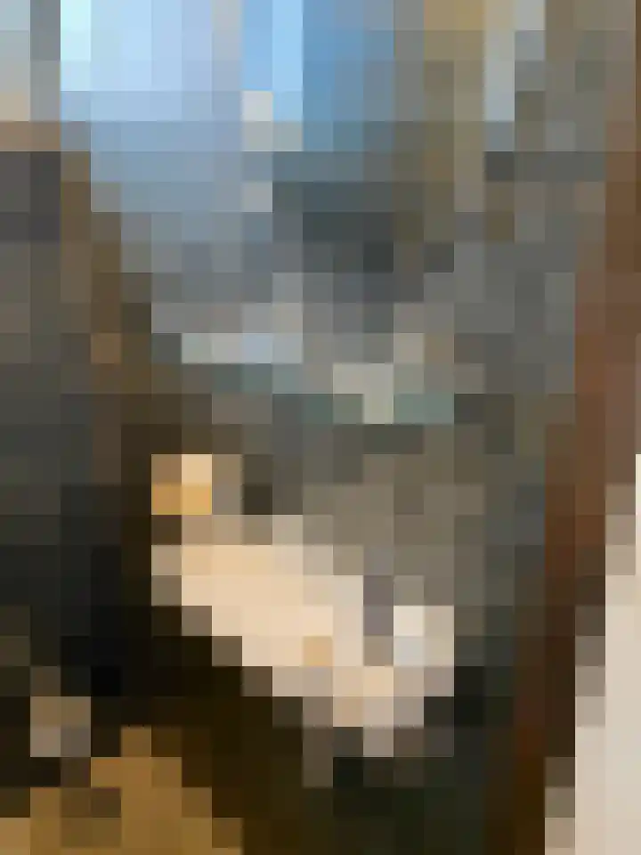 Schoolstraat 13 Gendt thumbnail 18