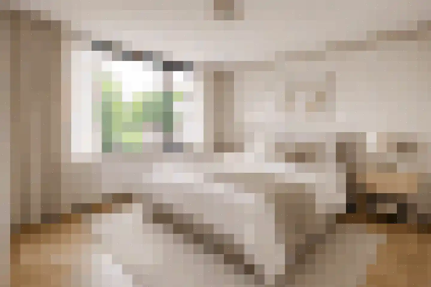 Schoolstraat 13 Gendt thumbnail 23