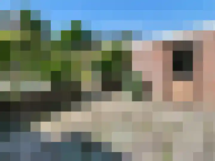 Schoolstraat 13 Gendt thumbnail 9