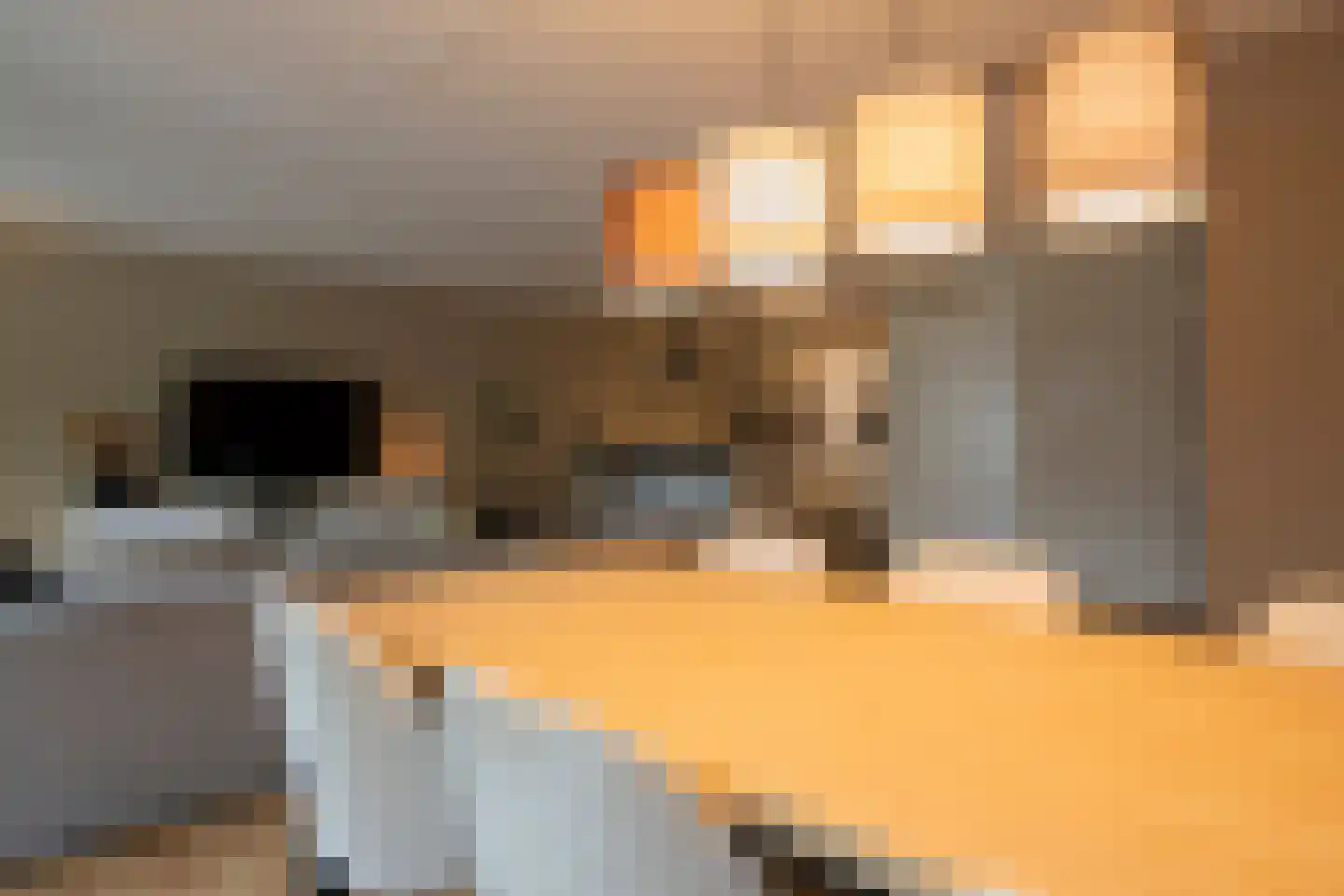 Schoolstraat 13 Grevenbicht thumbnail 15