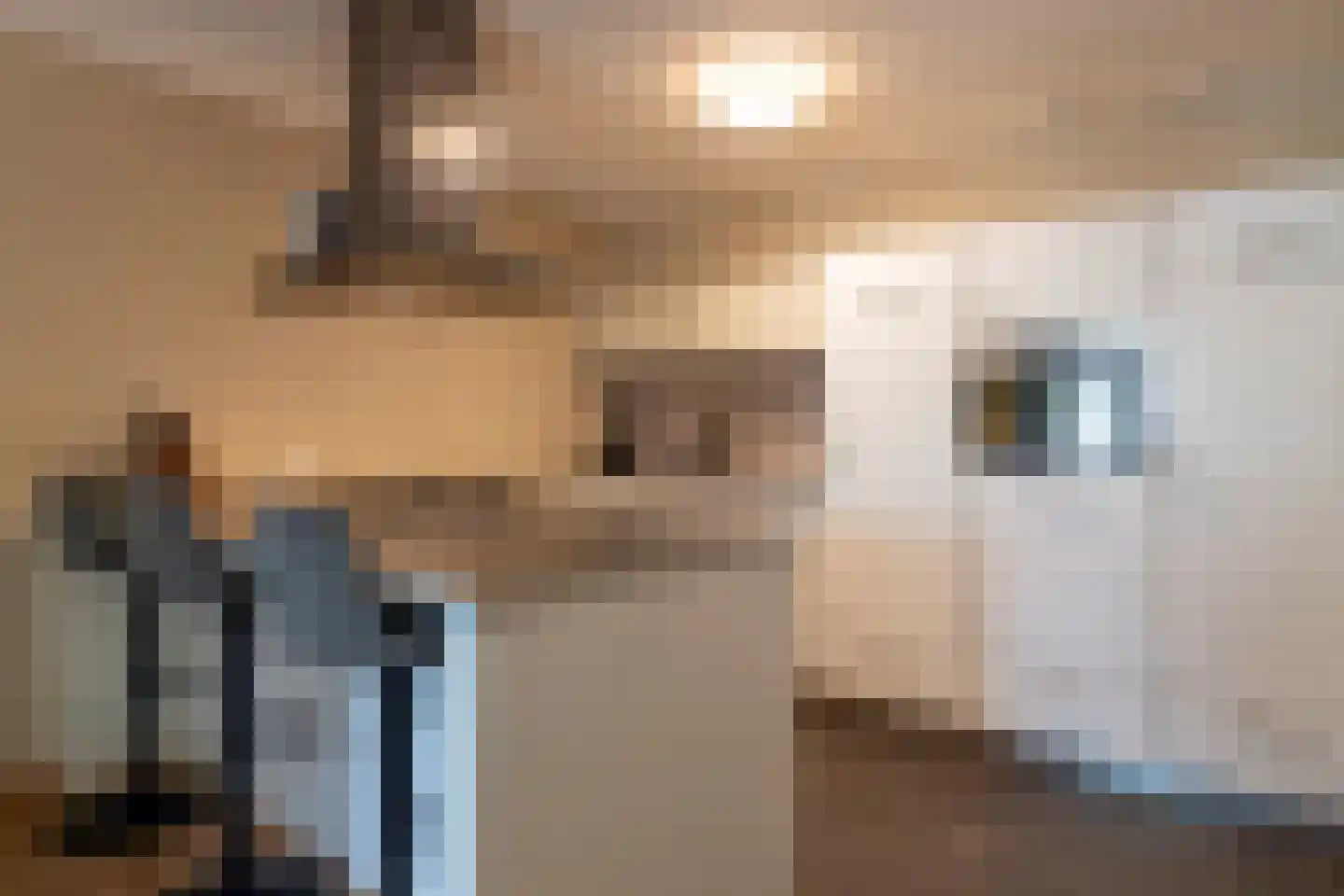 Schoolstraat 13 Grevenbicht thumbnail 18