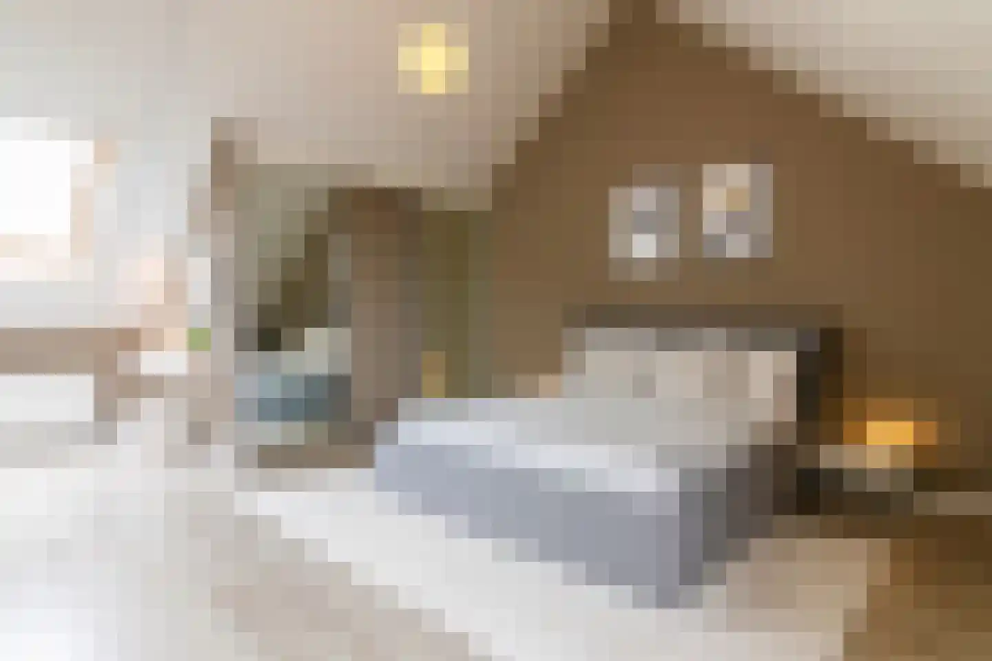 Schoolstraat 13 Grevenbicht thumbnail 27