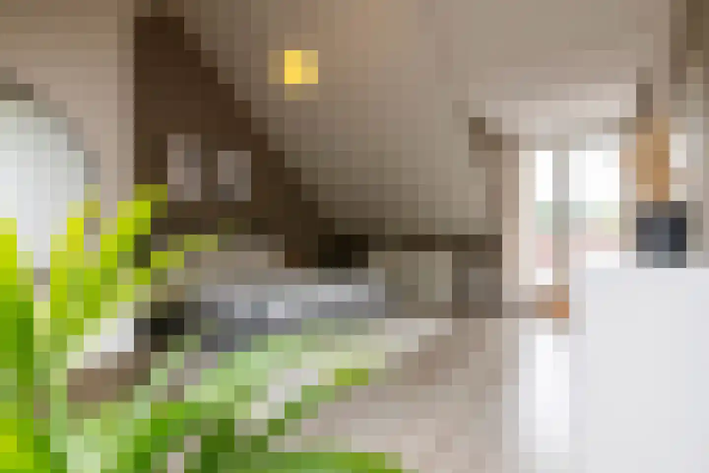 Schoolstraat 13 Grevenbicht thumbnail 30