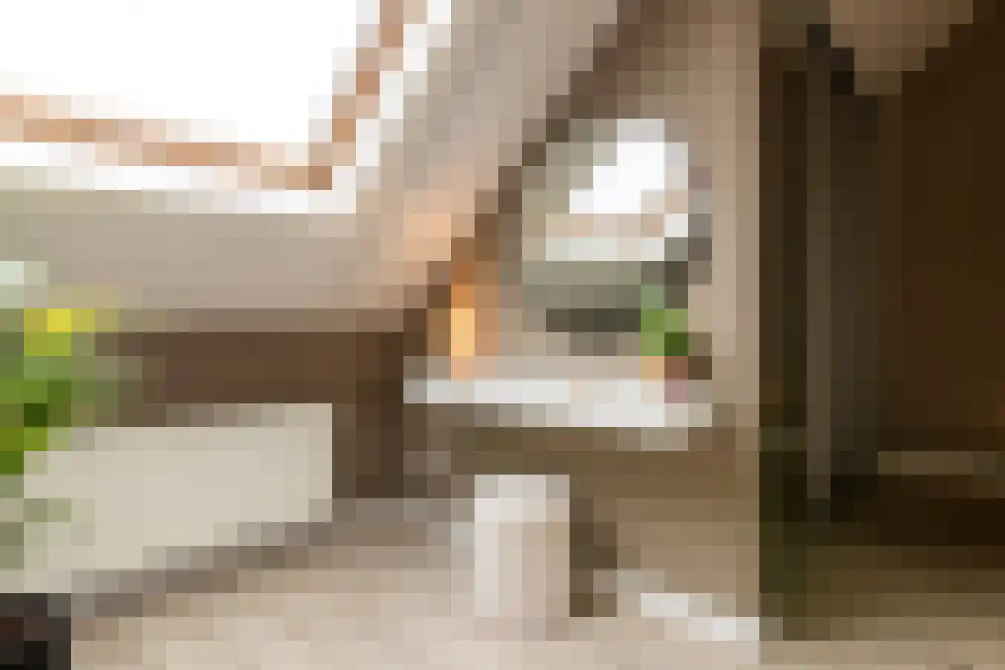 Schoolstraat 13 Grevenbicht thumbnail 31