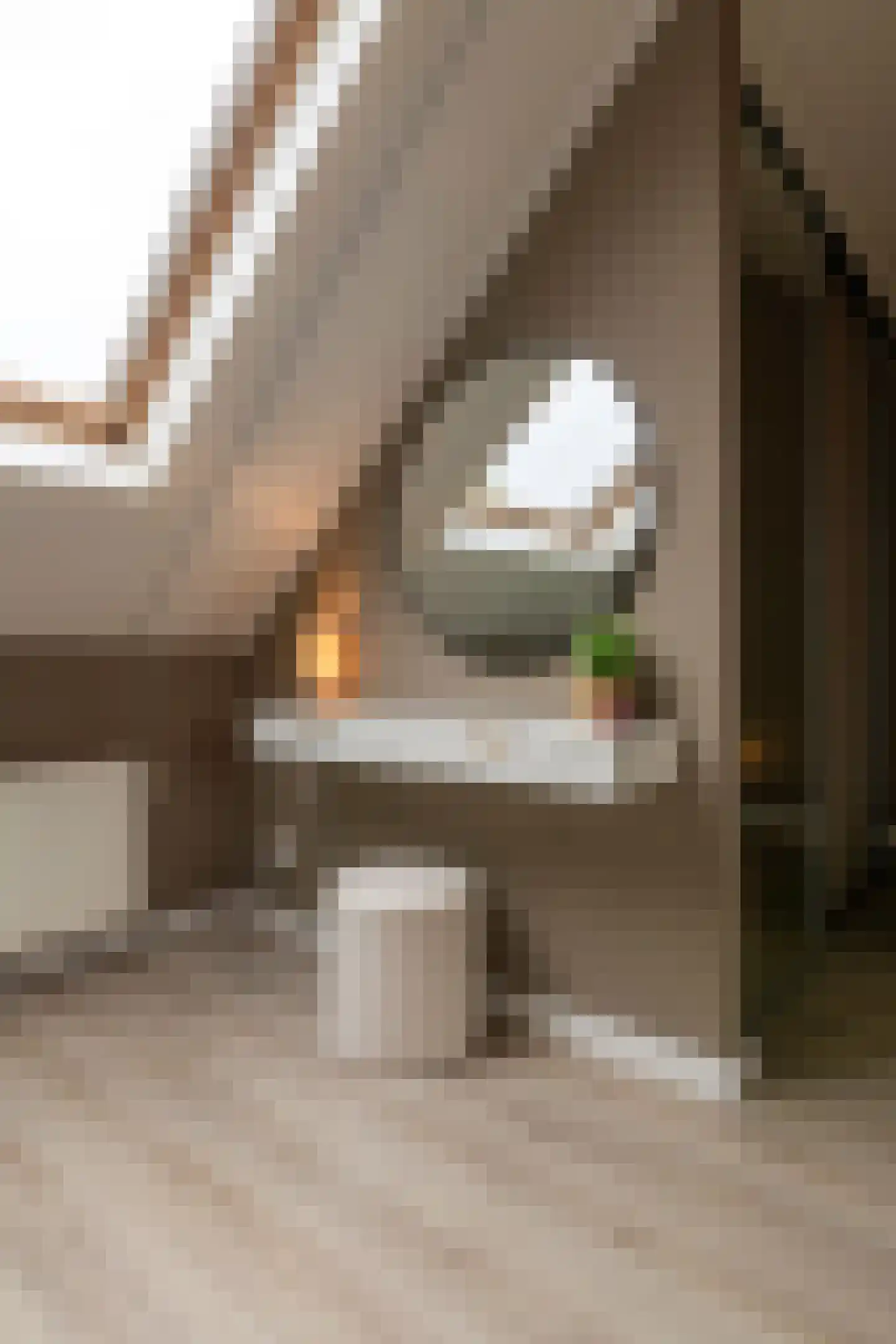 Schoolstraat 13 Grevenbicht thumbnail 32
