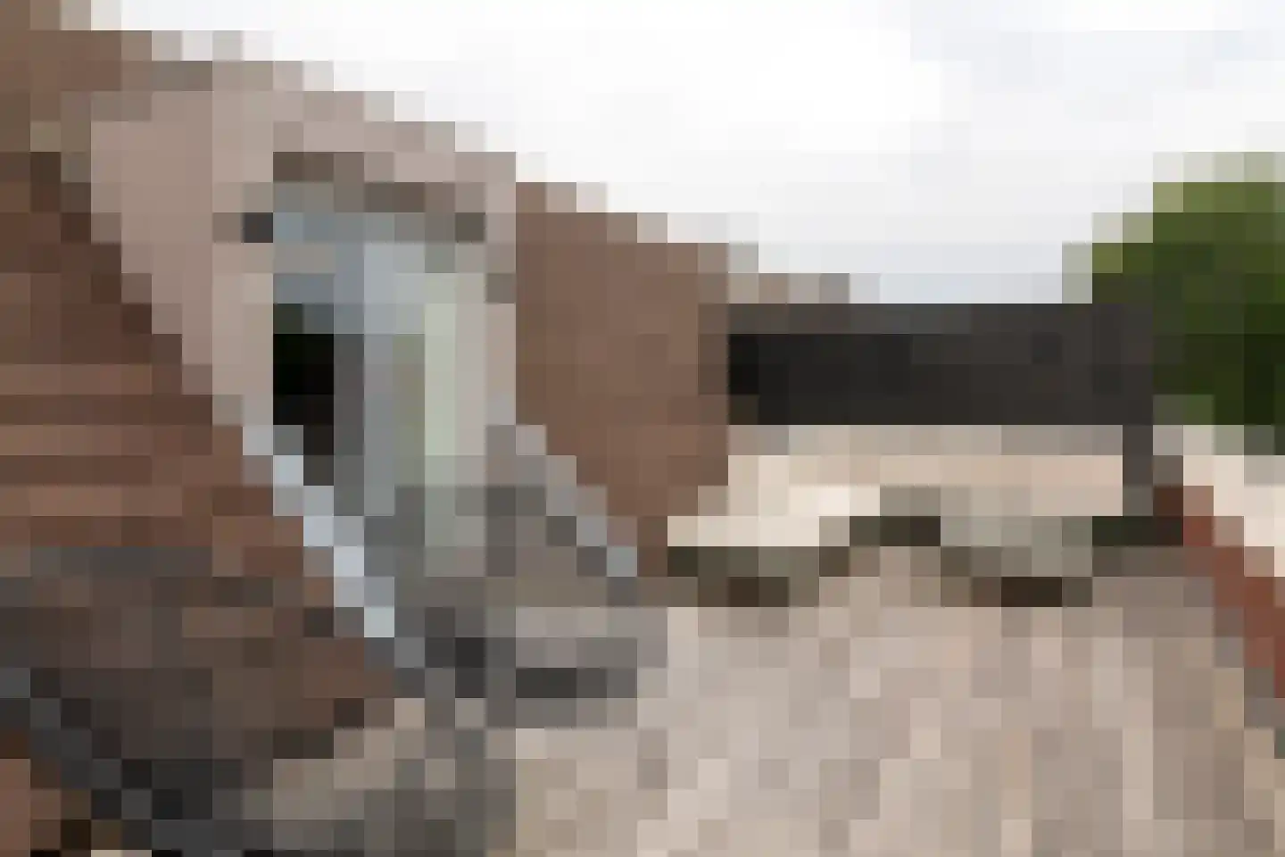Schoolstraat 13 Grevenbicht thumbnail 37