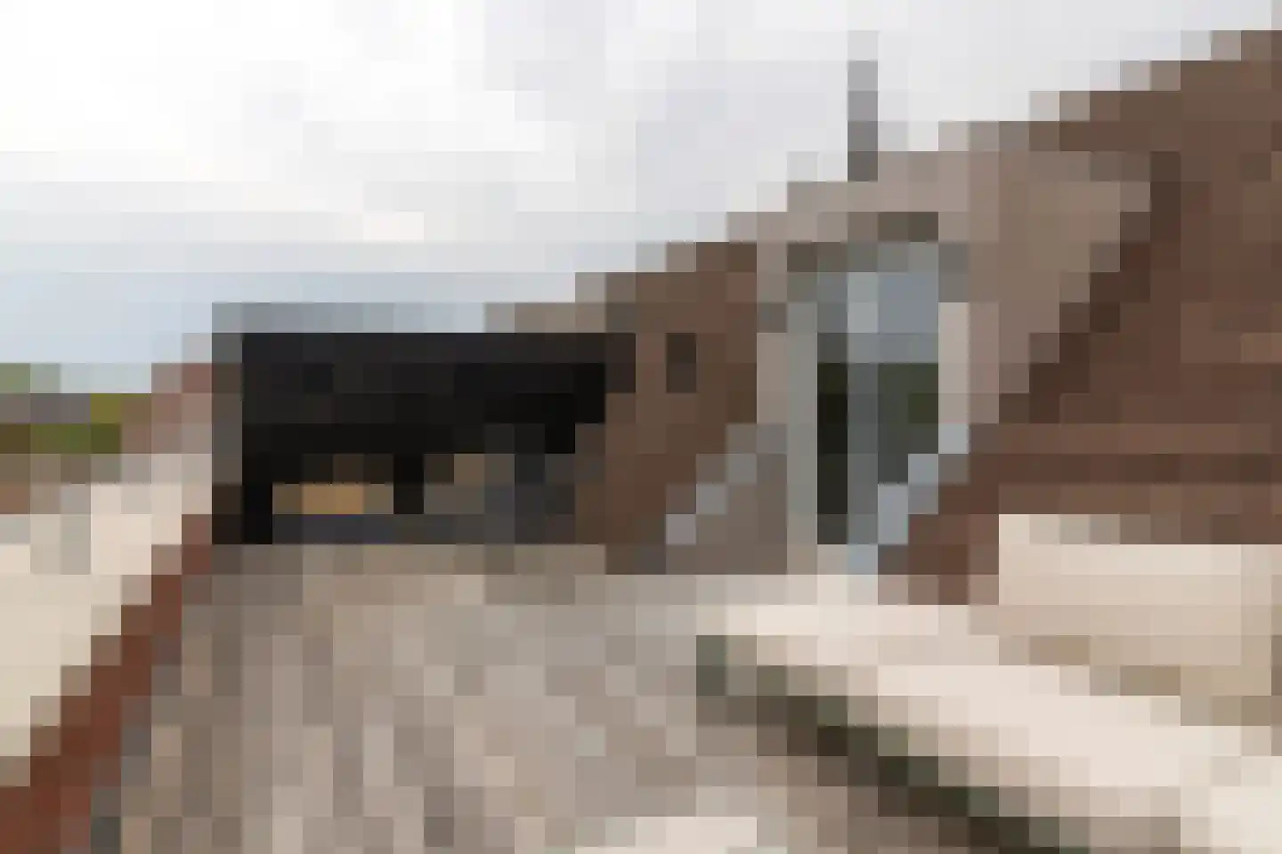 Schoolstraat 13 Grevenbicht thumbnail 38