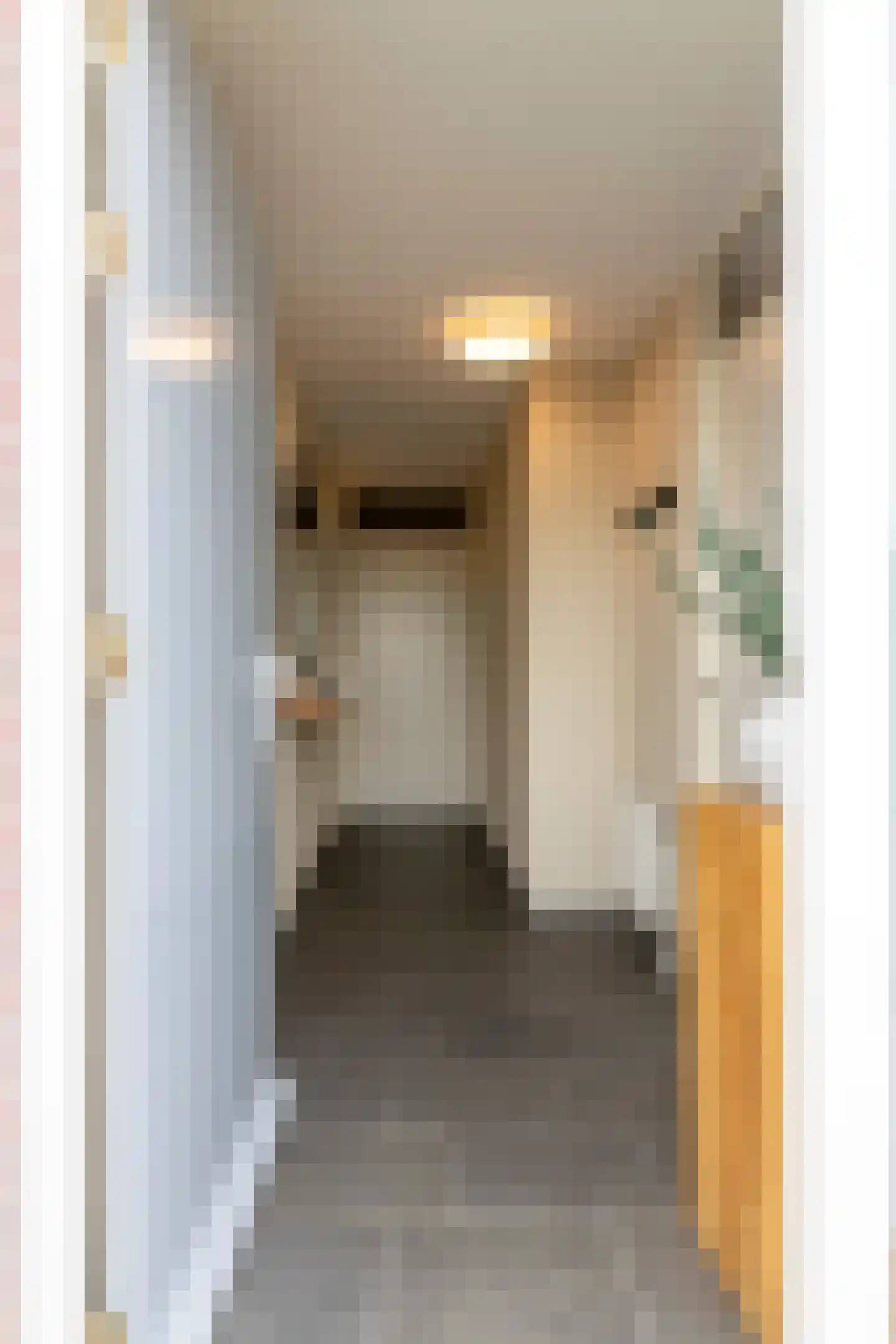 Schoolstraat 13 Grevenbicht thumbnail 8