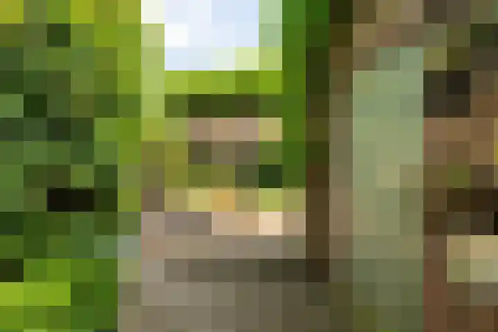 Schoolstraat 13 Sleeuwijk thumbnail 27