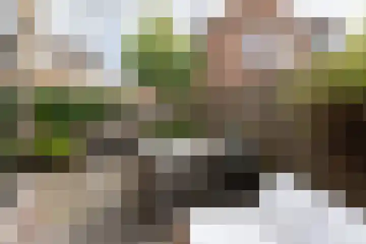 Schoolstraat 13 Sneek thumbnail 14
