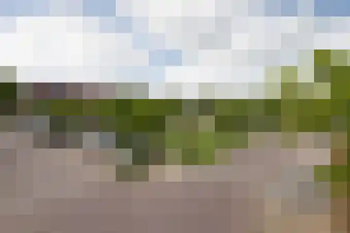 Schoolstraat 13 Sneek thumbnail 32