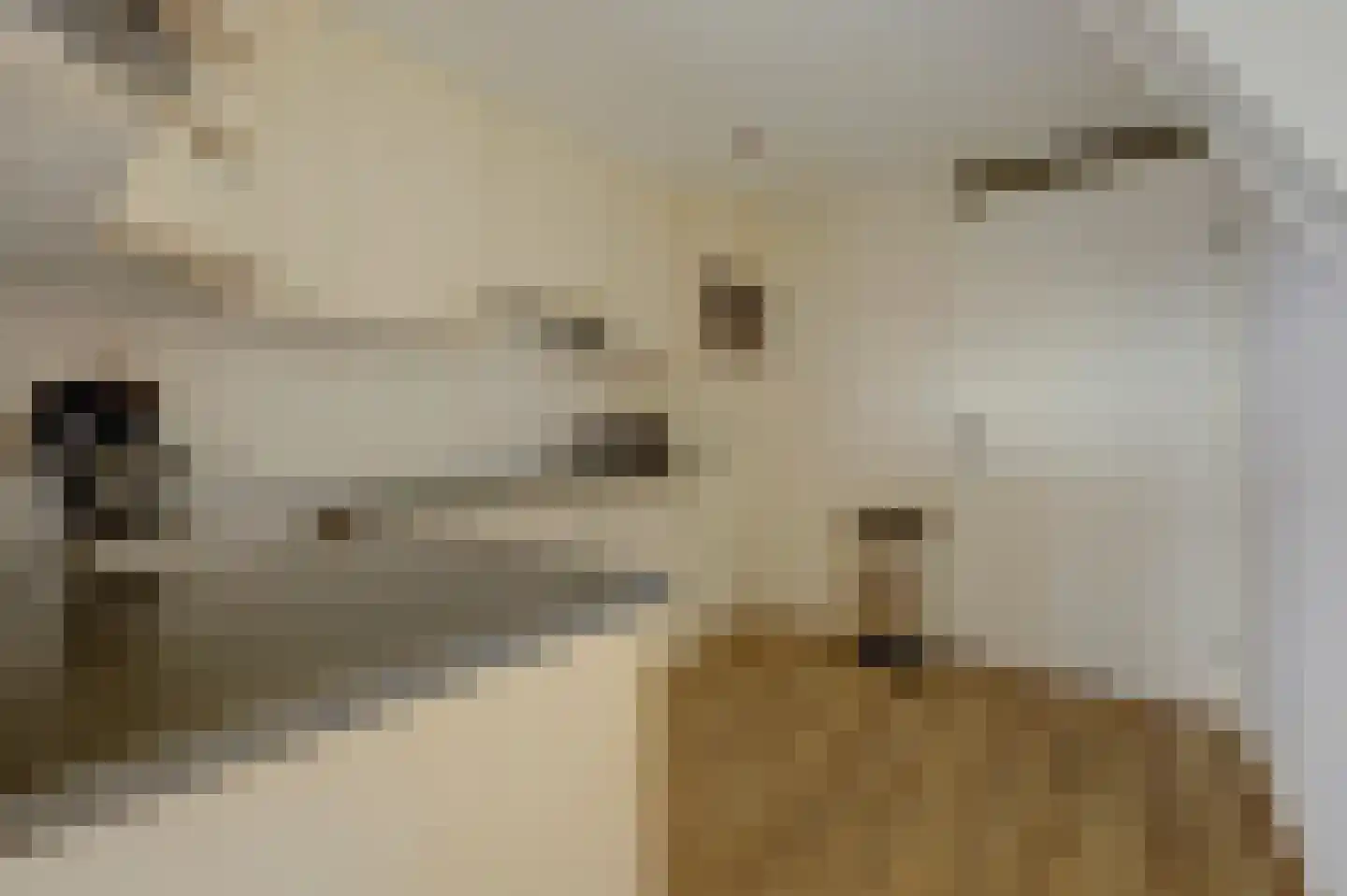 Schoolstraat 13 Wierden thumbnail 25