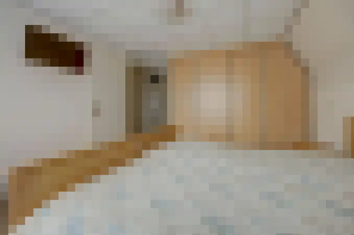 Schoolstraat 13 Wierden thumbnail 30