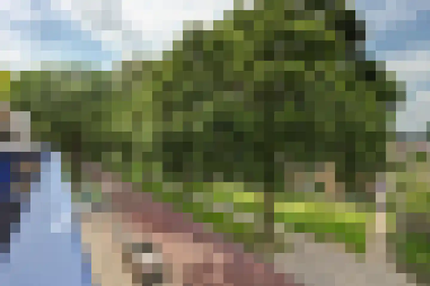 Schoolstraat 13 Wierden thumbnail 40