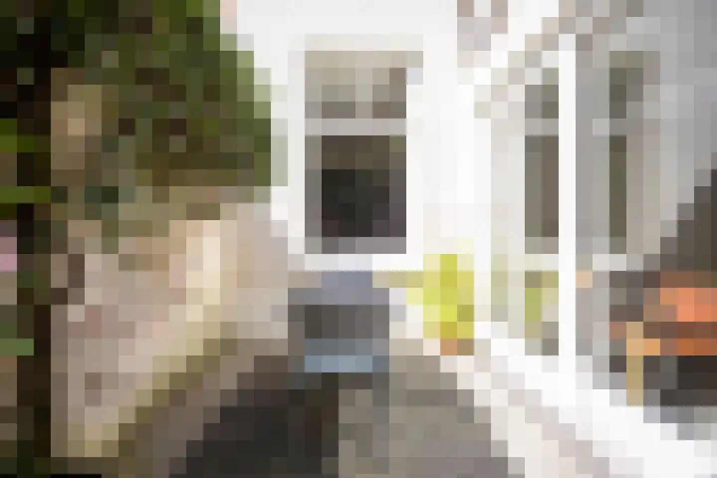 Schoolstraat 135 Nijmegen thumbnail 20